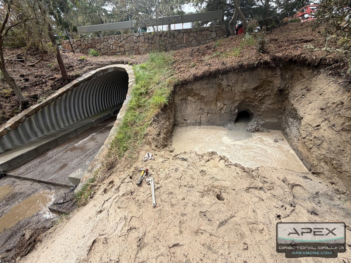 Pebble Beach site photo 36